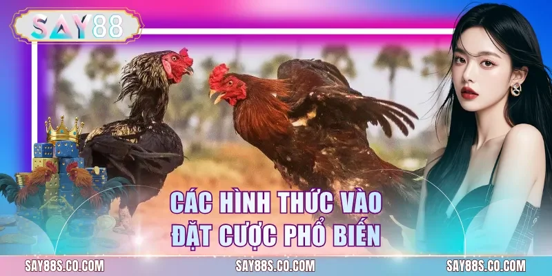 Các hình thức vào đặt cược phổ biến
