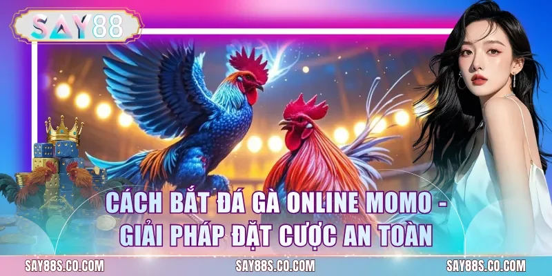 Cách Bắt Đá Gà Online Momo - Giải Pháp Đặt Cược An Toàn