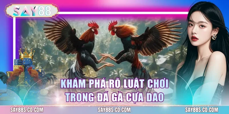 Khám phá rõ luật chơi trong đá gà cựa dao