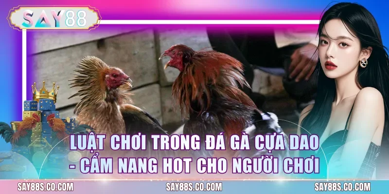 Luật Chơi Trong Đá Gà Cựa Dao - Cẩm Nang Hot Cho Người Chơi