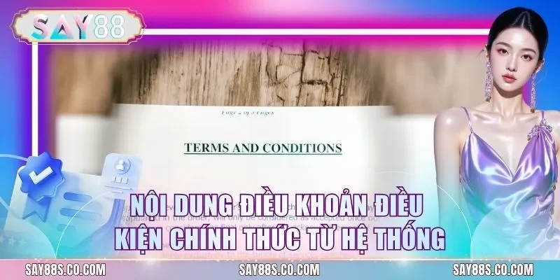 Nội dung điều khoản điều kiện chính thức từ hệ thống