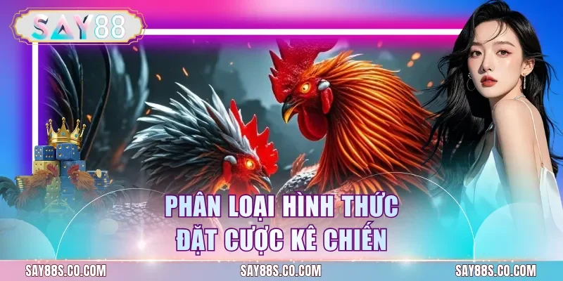 Phân loại hình thức đặt cược kê chiến