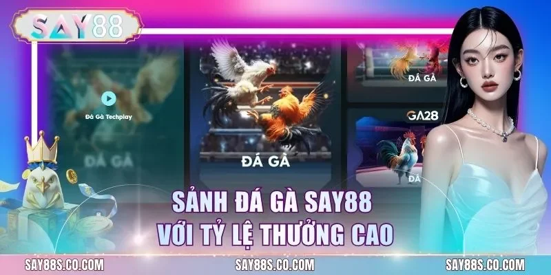 Sảnh đá gà Say88 với tỷ lệ thưởng cao