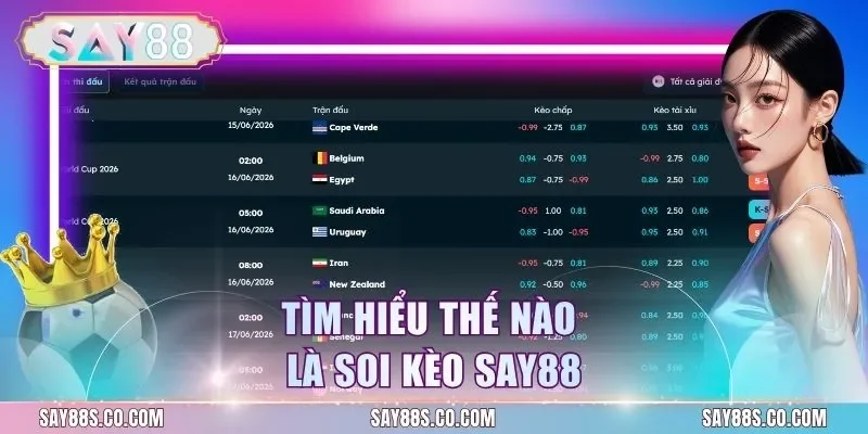 Tìm hiểu thế nào là soi kèo Say88